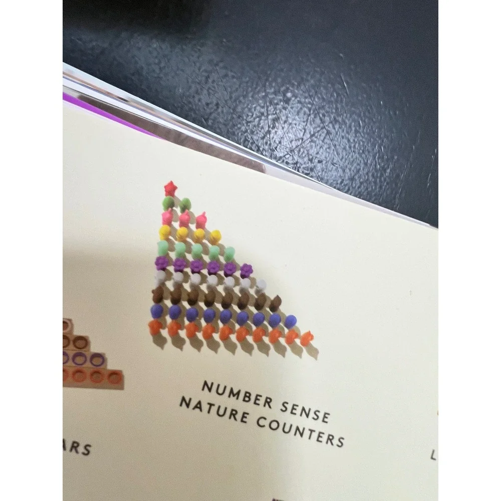 Lovevery Montessori Math Bars and Nature Counters Multicolor Problem Solver OS